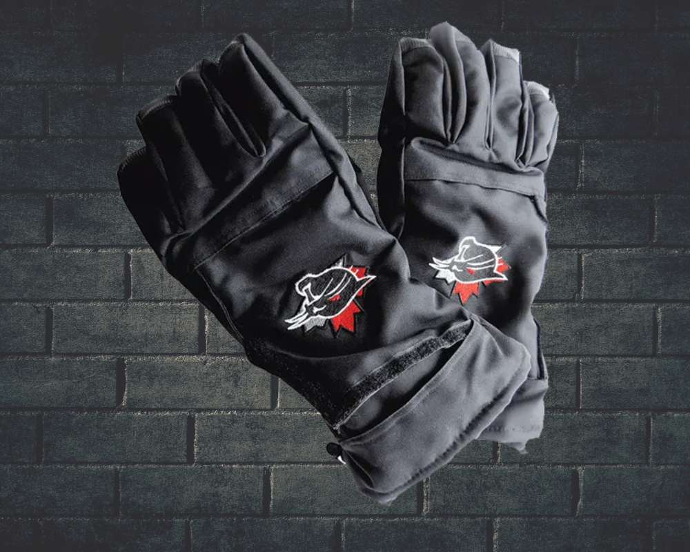 Embroidery Digitizing